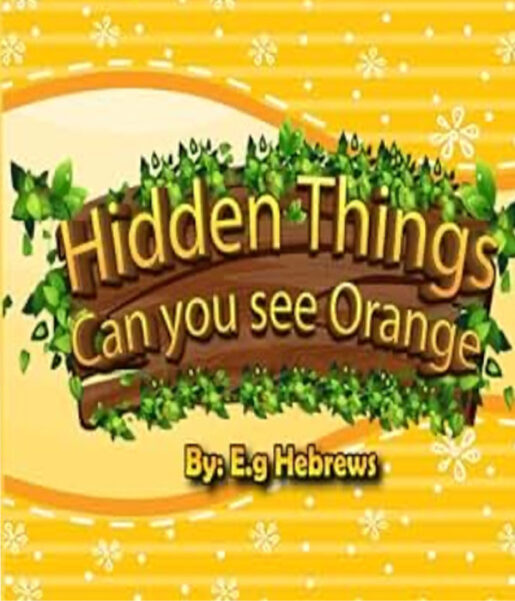 Hidden things can you see orange
