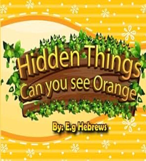 Hidden things can you see orange