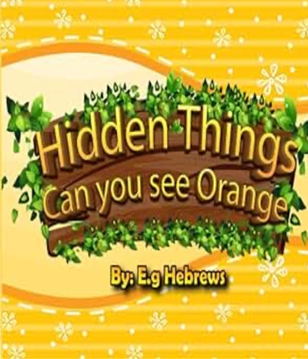 Hidden things can you see orange