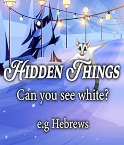 Hidden things can you see white