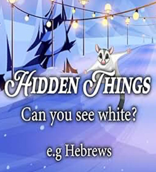 Hidden things can you see white